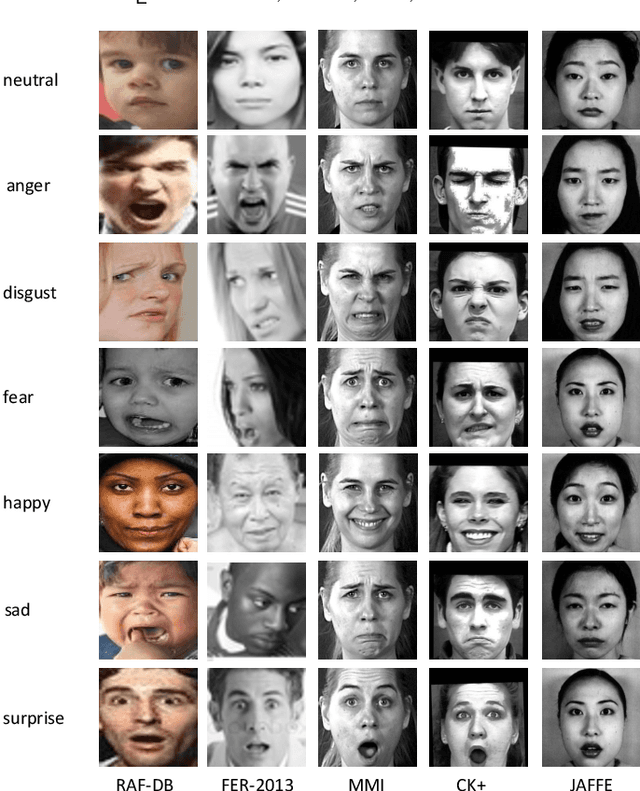 Figure 3 for Omni-supervised Facial Expression Recognition: A Simple Baseline