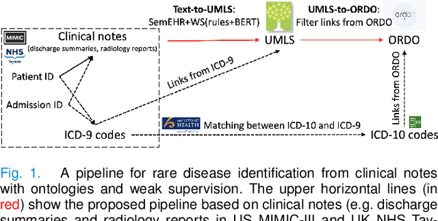 Figure 1 for Ontology-Based and Weakly Supervised Rare Disease Phenotyping from Clinical Notes