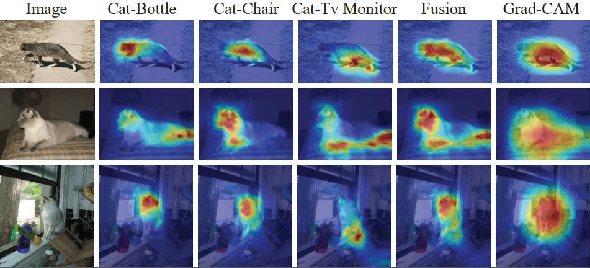 Figure 2 for Class Activation Map Generation by Representative Class Selection and Multi-Layer Feature Fusion