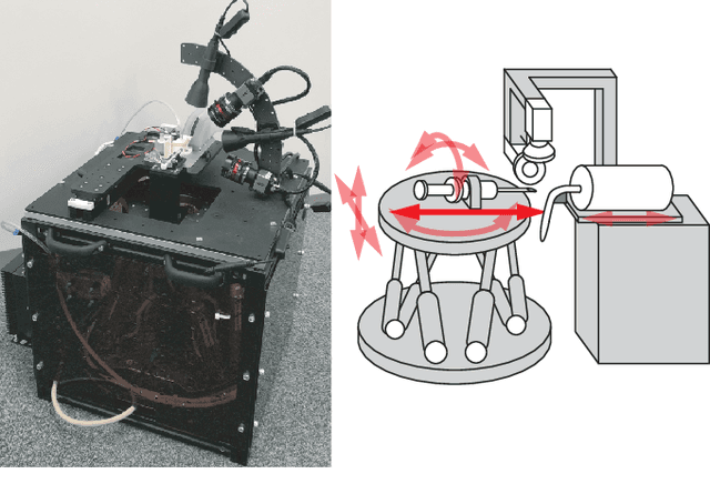 Figure 1 for Development of a Stereo-Vision Based High-Throughput Robotic System for Mouse Tail Vein Injection