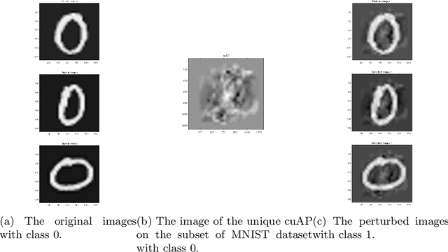 Figure 4 for Optimization Models and Interpretations for Three Types of Adversarial Perturbations against Support Vector Machines