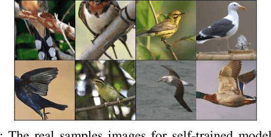 Figure 3 for Robustness Evaluation of Stacked Generative Adversarial Networks using Metamorphic Testing