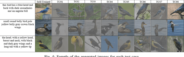 Figure 4 for Robustness Evaluation of Stacked Generative Adversarial Networks using Metamorphic Testing
