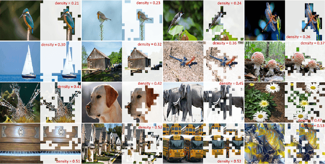 Figure 1 for SaiT: Sparse Vision Transformers through Adaptive Token Pruning