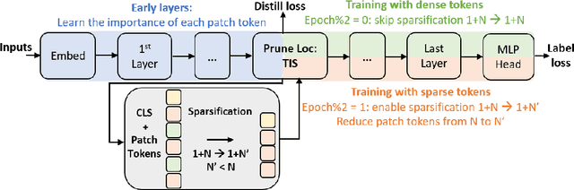 Figure 3 for SaiT: Sparse Vision Transformers through Adaptive Token Pruning