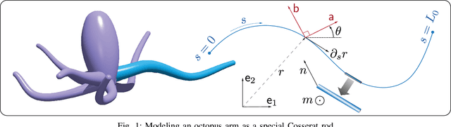 Figure 1 for Energy Shaping Control of a CyberOctopus Soft Arm