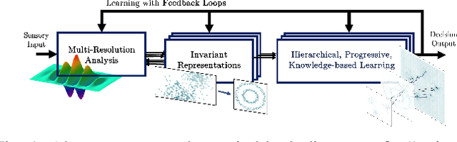 Figure 1 for Towards the One Learning Algorithm Hypothesis: A System-theoretic Approach