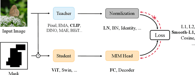 Figure 2 for A Unified View of Masked Image Modeling