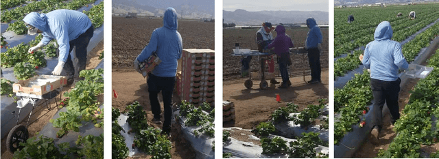 Figure 1 for A strawberry harvest-aiding system with crop-transport co-robots: Design, development, and field evaluation