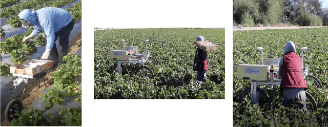 Figure 2 for A strawberry harvest-aiding system with crop-transport co-robots: Design, development, and field evaluation