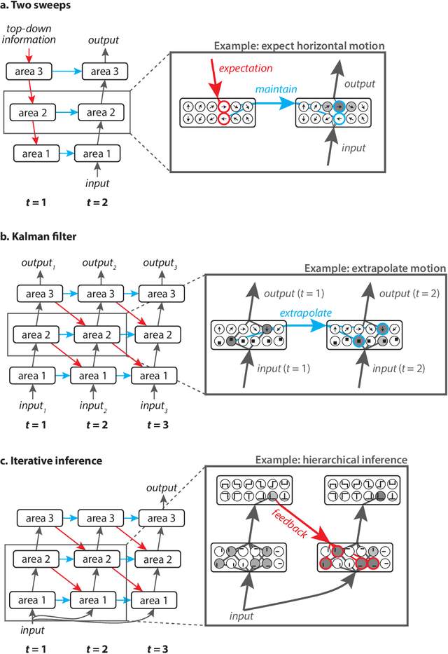 Figure 4 for Going in circles is the way forward: the role of recurrence in visual inference