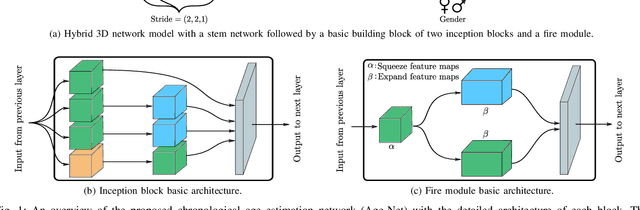 Figure 1 for Age-Net: An MRI-Based Iterative Framework for Biological Age Estimation