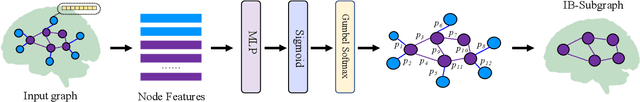 Figure 3 for BrainIB: Interpretable Brain Network-based Psychiatric Diagnosis with Graph Information Bottleneck