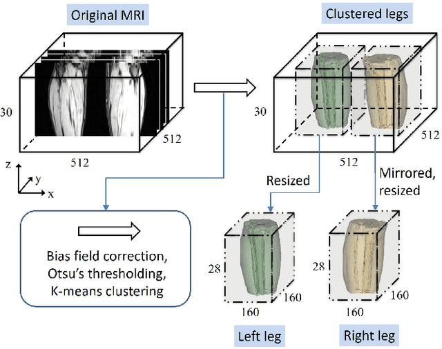 Figure 2 for FilterNet: A Neighborhood Relationship Enhanced Fully Convolutional Network for Calf Muscle Compartment Segmentation