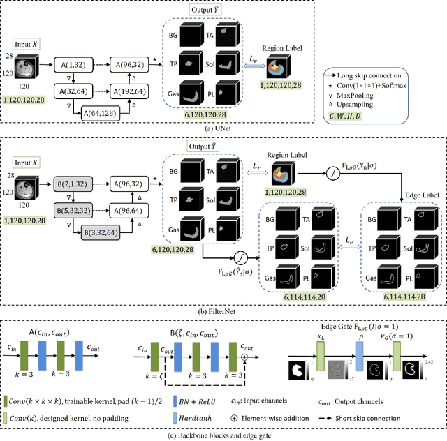 Figure 3 for FilterNet: A Neighborhood Relationship Enhanced Fully Convolutional Network for Calf Muscle Compartment Segmentation