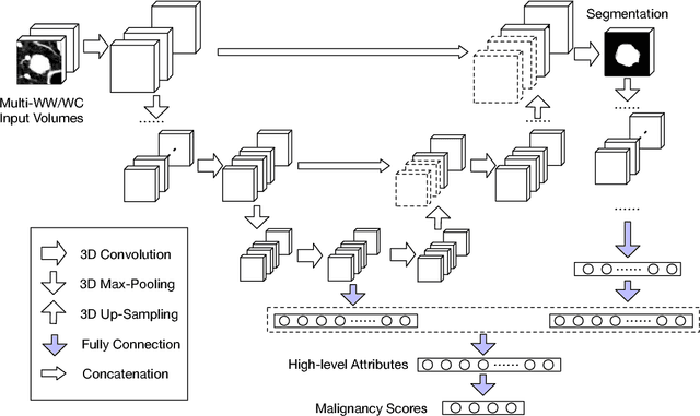 Figure 1 for Joint Learning for Pulmonary Nodule Segmentation, Attributes and Malignancy Prediction