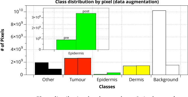 Figure 2 for Fully Convolutional Network for Melanoma Diagnostics