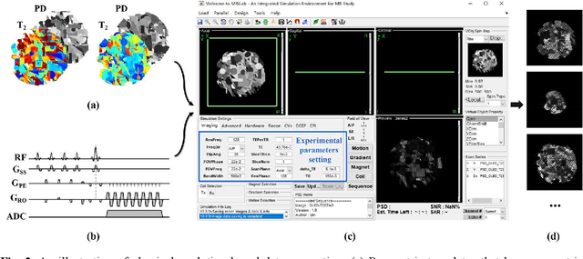 Figure 3 for Physics-driven Synthetic Data Learning for Biomedical Magnetic Resonance