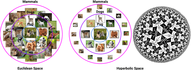 Figure 1 for Hyperbolic Attention Networks