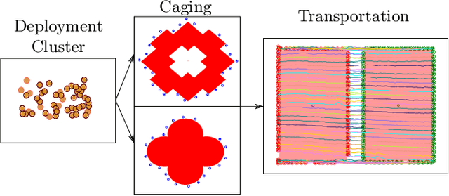 Figure 1 for Collective transport via sequential caging