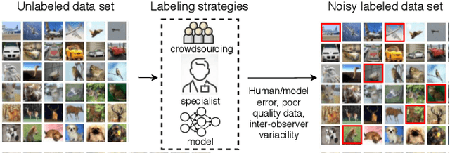 Figure 1 for A Survey on Deep Learning with Noisy Labels: How to train your model when you cannot trust on the annotations?