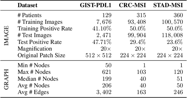 Figure 2 for How GNNs Facilitate CNNs in Mining Geometric Information from Large-Scale Medical Images