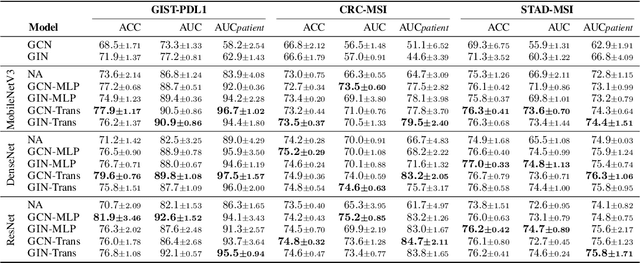 Figure 4 for How GNNs Facilitate CNNs in Mining Geometric Information from Large-Scale Medical Images