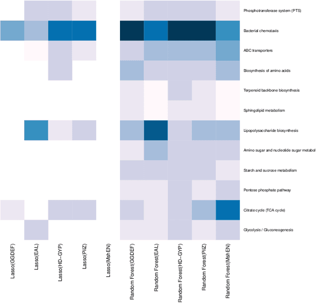 Figure 3 for Identification of feasible pathway information for c-di-GMP binding proteins in cellulose production