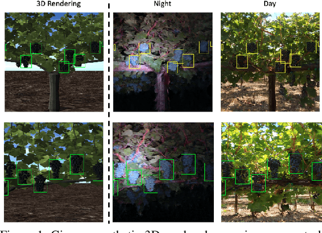 Figure 1 for Enlisting 3D Crop Models and GANs for More Data Efficient and Generalizable Fruit Detection