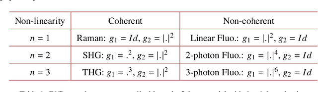 Figure 2 for Physics-based neural network for non-invasive control of coherent light in scattering media