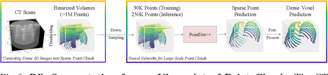 Figure 3 for RibSeg Dataset and Strong Point Cloud Baselines for Rib Segmentation from CT Scans