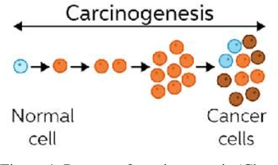 Figure 2 for Classification of Histopathology Images of Lung Cancer Using Convolutional Neural Network (CNN)