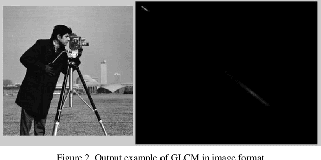 Figure 2 for Surface abnormality detection in medical and inspection systems using energy variations in co-occurrence matrixes