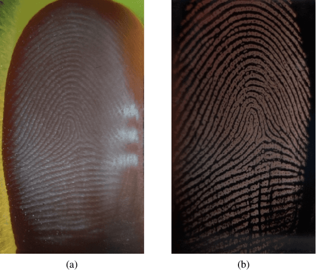Figure 4 for Generalizing Fingerprint Spoof Detector: Learning a One-Class Classifier