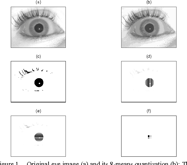 Figure 1 for Exploring New Directions in Iris Recognition