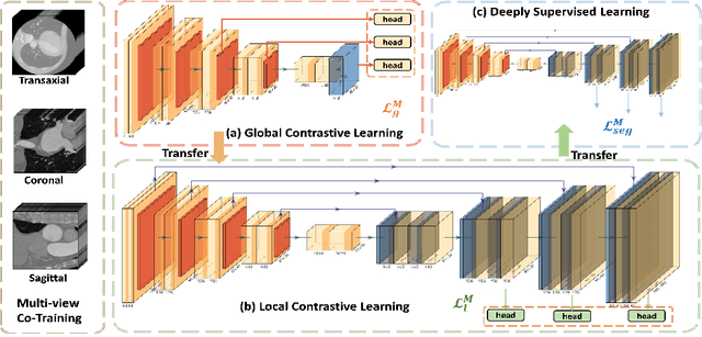 Figure 1 for MMGL: Multi-Scale Multi-View Global-Local Contrastive learning for Semi-supervised Cardiac Image Segmentation