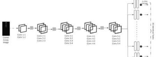 Figure 4 for Faster Deep Ensemble Averaging for Quantification of DNA Damage from Comet Assay Images With Uncertainty Estimates