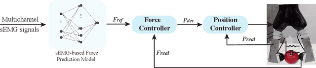 Figure 4 for Force-guided High-precision Grasping Control of Fragile and Deformable Objects using sEMG-based Force Prediction
