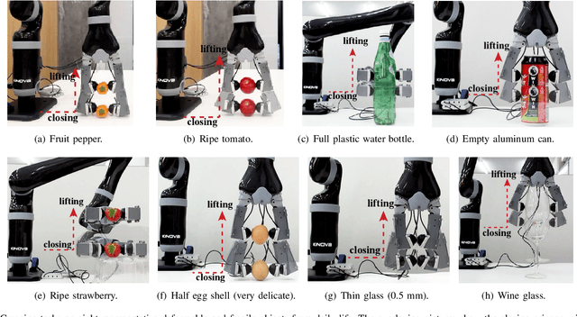 Figure 3 for Force-guided High-precision Grasping Control of Fragile and Deformable Objects using sEMG-based Force Prediction