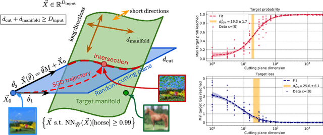 Figure 1 for What does a deep neural network confidently perceive? The effective dimension of high certainty class manifolds and their low confidence boundaries