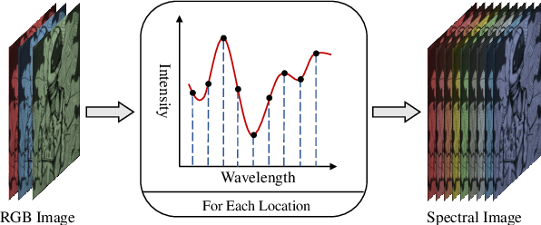 Figure 1 for Continuous Spectral Reconstruction from RGB Images via Implicit Neural Representation