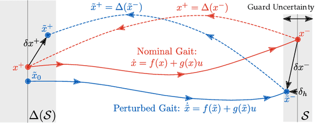Figure 2 for Robust Bipedal Locomotion: Leveraging Saltation Matrices for Gait Optimization