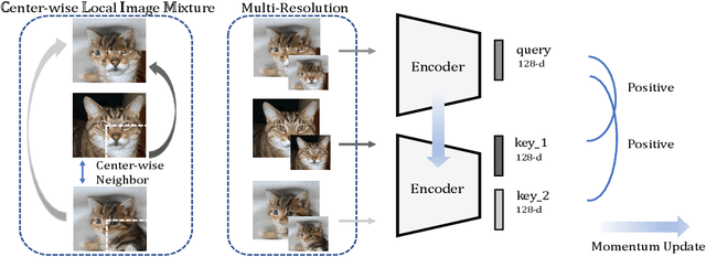 Figure 1 for Center-wise Local Image Mixture For Contrastive Representation Learning
