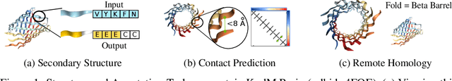 Figure 1 for Evaluating Protein Transfer Learning with TAPE