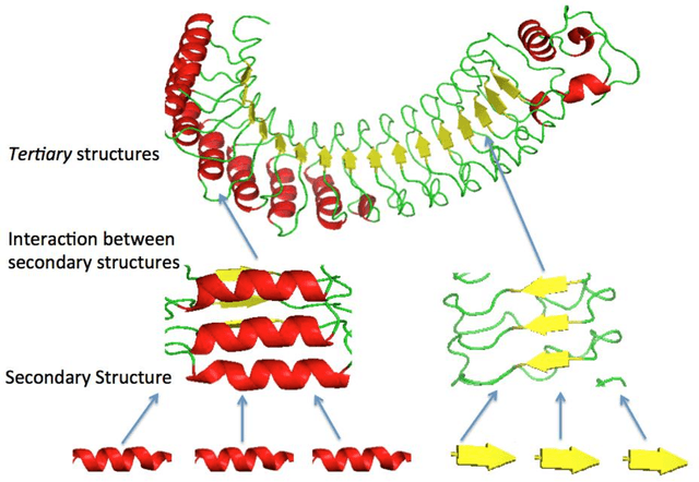 Figure 3 for Protein Structure Prediction by Protein Alignments