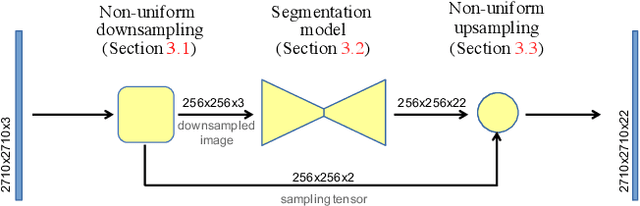 Figure 3 for Efficient Segmentation: Learning Downsampling Near Semantic Boundaries