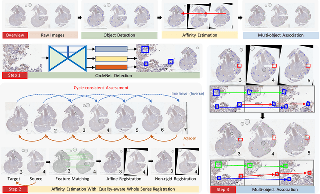 Figure 2 for Map3D: Registration Based Multi-Object Tracking on 3D Serial Whole Slide Images