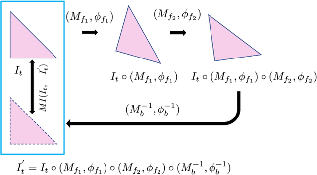 Figure 3 for Map3D: Registration Based Multi-Object Tracking on 3D Serial Whole Slide Images