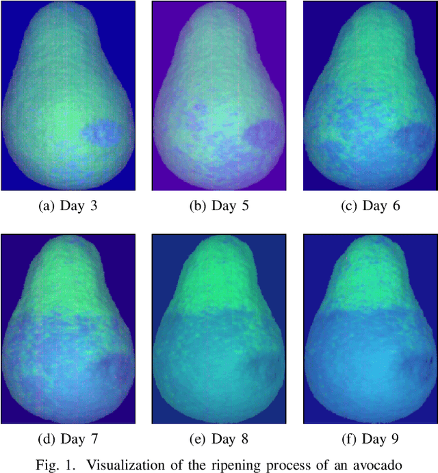 Figure 1 for Measuring the Ripeness of Fruit with Hyperspectral Imaging and Deep Learning