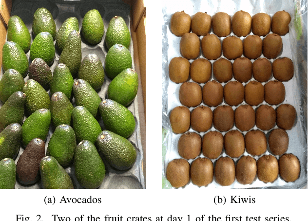 Figure 2 for Measuring the Ripeness of Fruit with Hyperspectral Imaging and Deep Learning